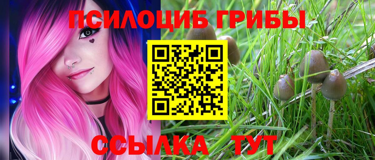 Омск  Псилоцибиновые грибы Magic Shrooms  где найти   Вход с VPN 