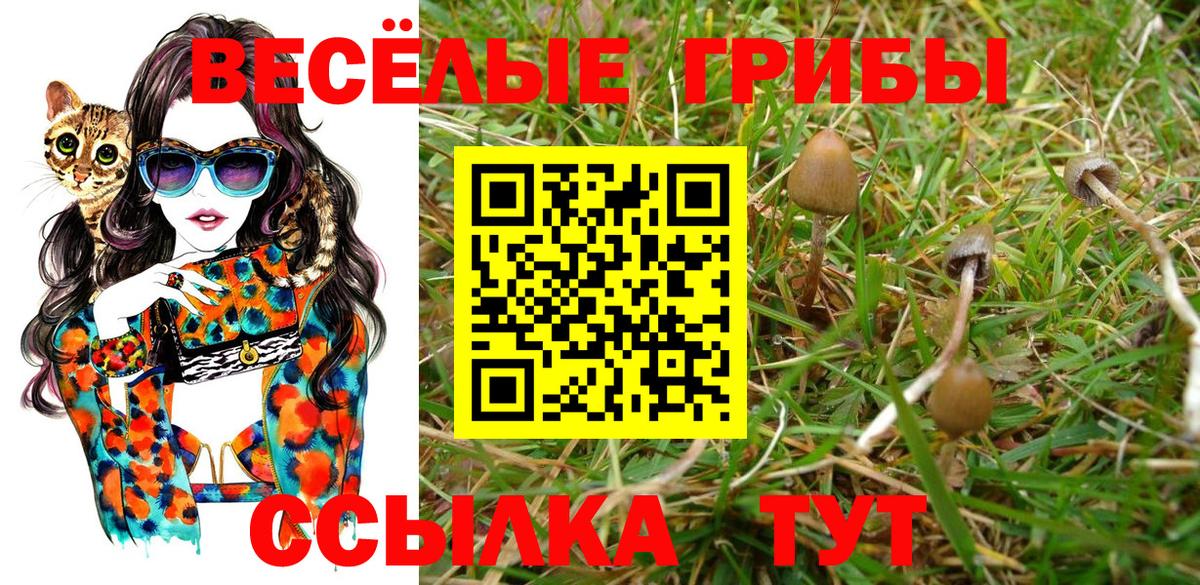 Галлюциногенные грибы прущие грибы Омск